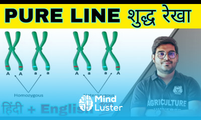 defination pure line शुद्ध रेखा what is pure line pure line kya hai pure line in hindi