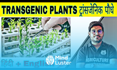 define transgenic plants ट्रांसजेनिक पौधे what is transgenic plants transgenic plants