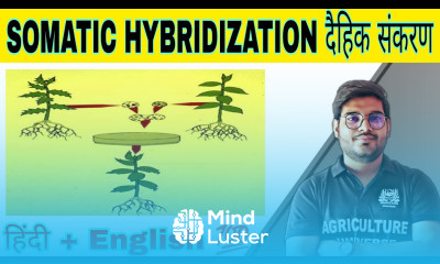 define somatic hybridization दैहिक संकरण what is somatic hybridization somatic hybridization