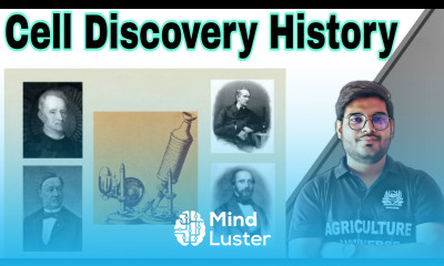 history of cell discovery discovery of cell history history of cell discovery timeline