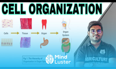 cell organization cell organization in hindi cell organization bsc 2nd year Mayank Tripathi