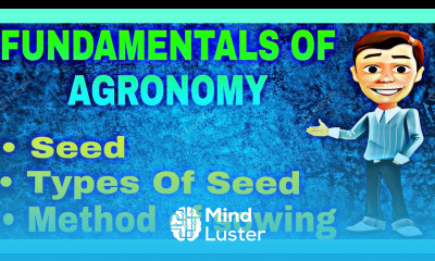 seed and sowing in agronomy method of Sowing seed sowing methods Mayank Tripathi