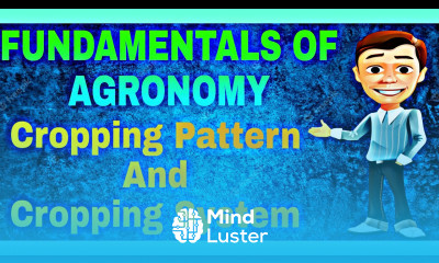 cropping Pattern and cropping System cropping system and pattern Mayank Tripathi