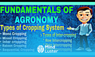 types of cropping system cropping system types farming system types Mayank Tripathi