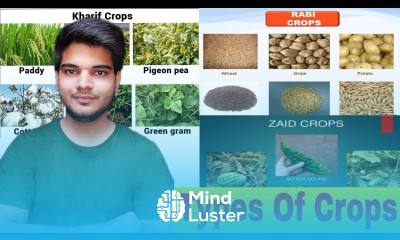 Types Of Crops फसलों के प्रकार Crops Season Of India Cropstypes Typesofcrops फसलोंकेप्रकार