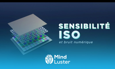 Sensibilité ISO Comprendre l exposition en photographie 3 3