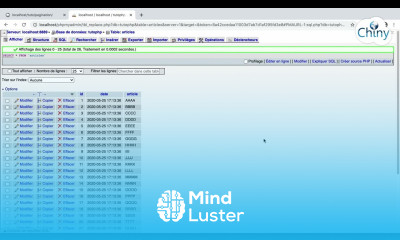 Short video Pagination d enregistrements provenant d une base de données