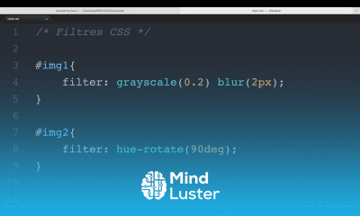 Short video Filtres CSS grayscale hue rotate blur saturate
