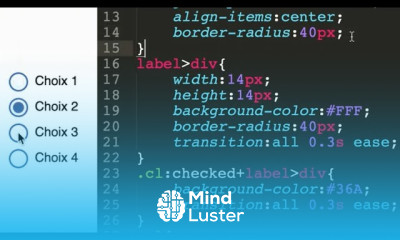 Astuce 6 Styler les checkbox et les boutons radio avec la balise LABEL