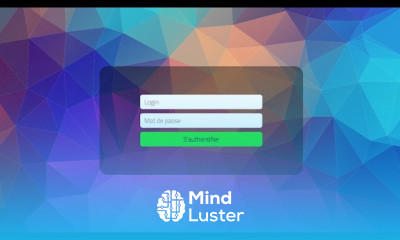 Astuce 10 Formulaire avec un arrière plan animé en CSS