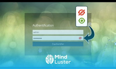 Astuce 12 Afficher Masquer le mot de passe dans un formulaire