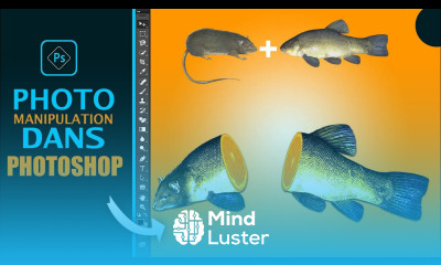 Tuto Montage photo facile dans Photoshop comment mélanger plusieurs images avec Photoshop