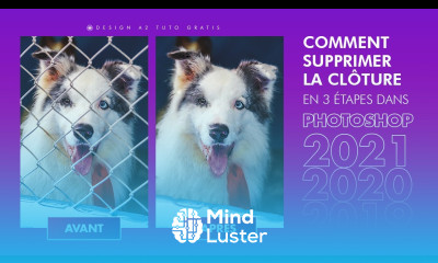 Supprimer simplement une clôture en 3 étapes dans Photoshop