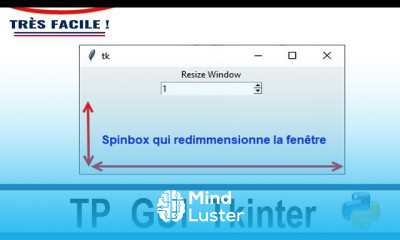TP GUI Python Tkinter Solution Exercice 11