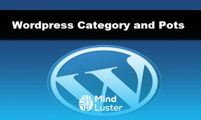 Wordpress Web Site Create Categories and Posts