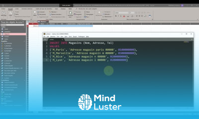 17 Access SQL ISNERT