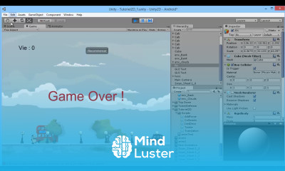 11 Unity 2D Fin projet 1