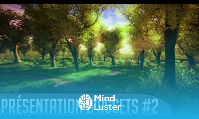 Présentation d assets 2 Nature Starter Kit 2 Unity3D