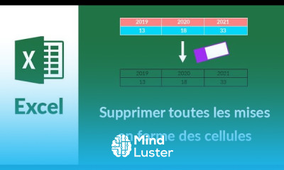Excel Supprimer la mise en forme des cellules