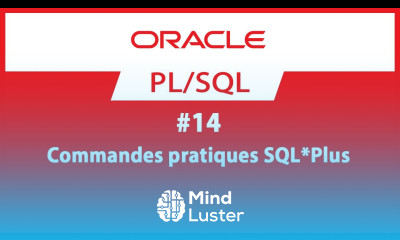 Formation Oracle PL SQL 14 Commandes pratiques SQL Plus