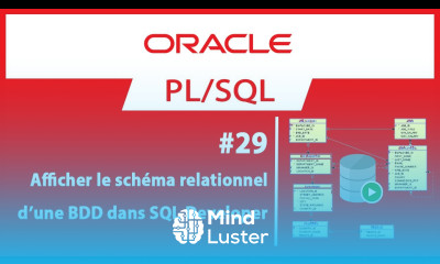29 Afficher le schéma relationnel d une BDD dans SQL Developer Formation Oracle PL SQL