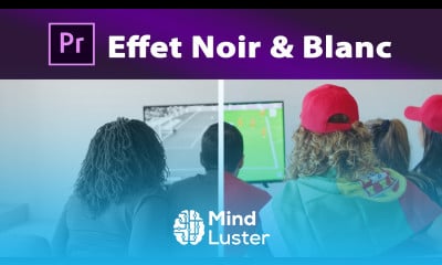 Premiere Pro Effet Noir et Blanc