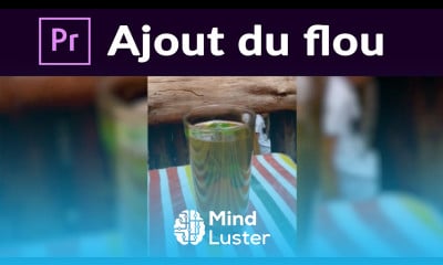 Ajout du flou à une vidéo dans première pro