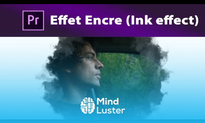 Premiere Pro Effet Encre Ink Effect