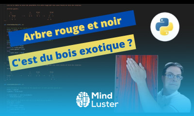 Mémoire et structure Arbres rouge et noir