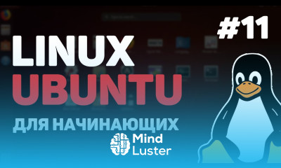 Linux для начинающих Урок 11 – Bash Shell скрипты