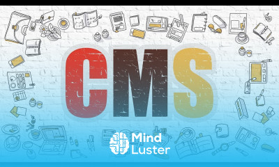 Какой выбрать CMS для сайта Обзор 5 популярных движков