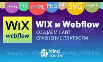 Wix и Webflow Обзор конструкторов сайта Пример создания сайта