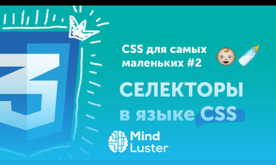 Селекторы в CSS  CSS для самых маленьких 2 CSS selectors