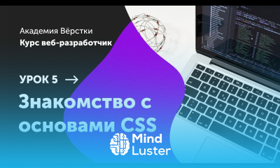 Урок 5 Знакомство с основами CSS Курс Веб разработчик Академия верстки