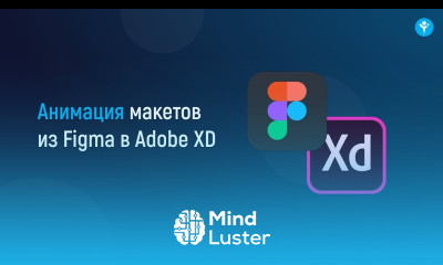 Анимация Figma в Adobe XD за 7 минут на Windows Yakovlevv