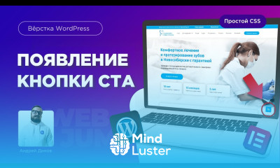 Появление кнопки по времени на сайте вордпресс CSS для новичков в Elementor