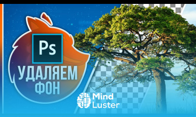 Как УБРАТЬ ФОН С КАРТИНКИ в Фотошопе 2 Самых крутых способа