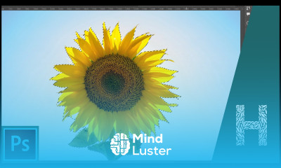 Adobe Photoshop основы 6 способов выделения