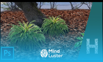 Adobe Photoshop Основы Осветлитель затемнитель губка палец резкость размытие