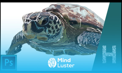 Черепаха кистями в Adobe Photoshop