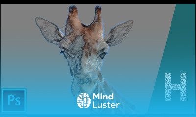 Adobe Photoshop Основы Фильтры часть 1