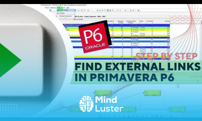 How to Find External links in Primavera P6 Identify External Relationships in P6
