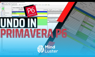 How to Undo in Primavera P6 Clear Undo history in P6 Explained Practically