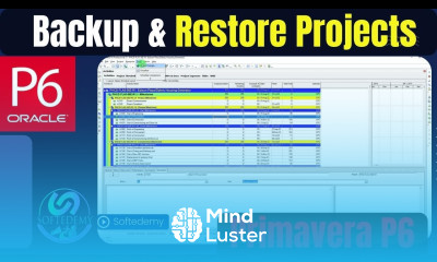How to Create Backup and Restore Projects in Primavera P6