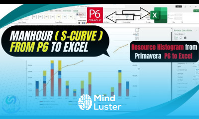 Create Detailed Manhour S Curve from Primavera P6 to Excel Manpower Stacked Histogram from P6
