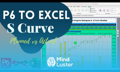 How to Create S Curve Planned vs Actual from Primavera P6 to Excel