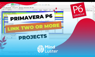 How to Link two or more Projects in Primavera P6 Link with Other Projects Interlinking