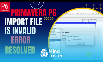 Primavera P6 The import file is invalid P6 Error Import corrupted XER file error Resolved Finally