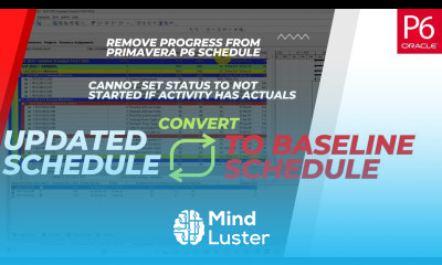 Convert Updated Schedule into Baseline Schedule Remove Progress from Primavera P6 Schedule