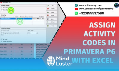 Assign Activity Codes in Primavera P6 with Excel FAST EASY